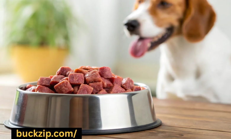 top rated raw dog food